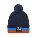 Fracture Pom Beanie