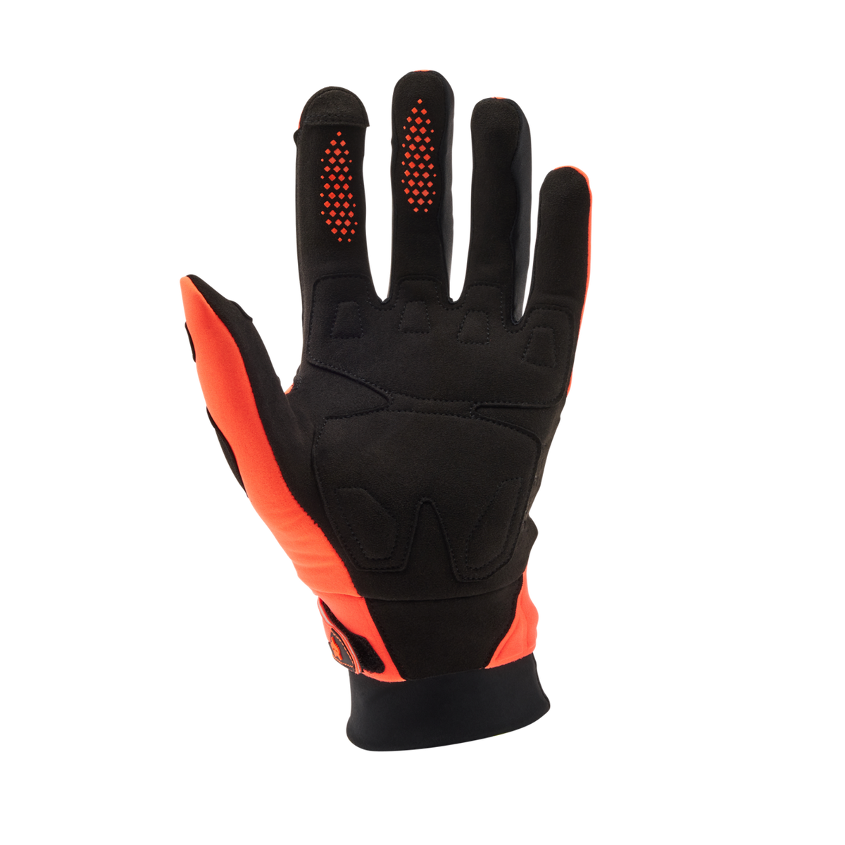 Handschuhe Defend Thermo - CE