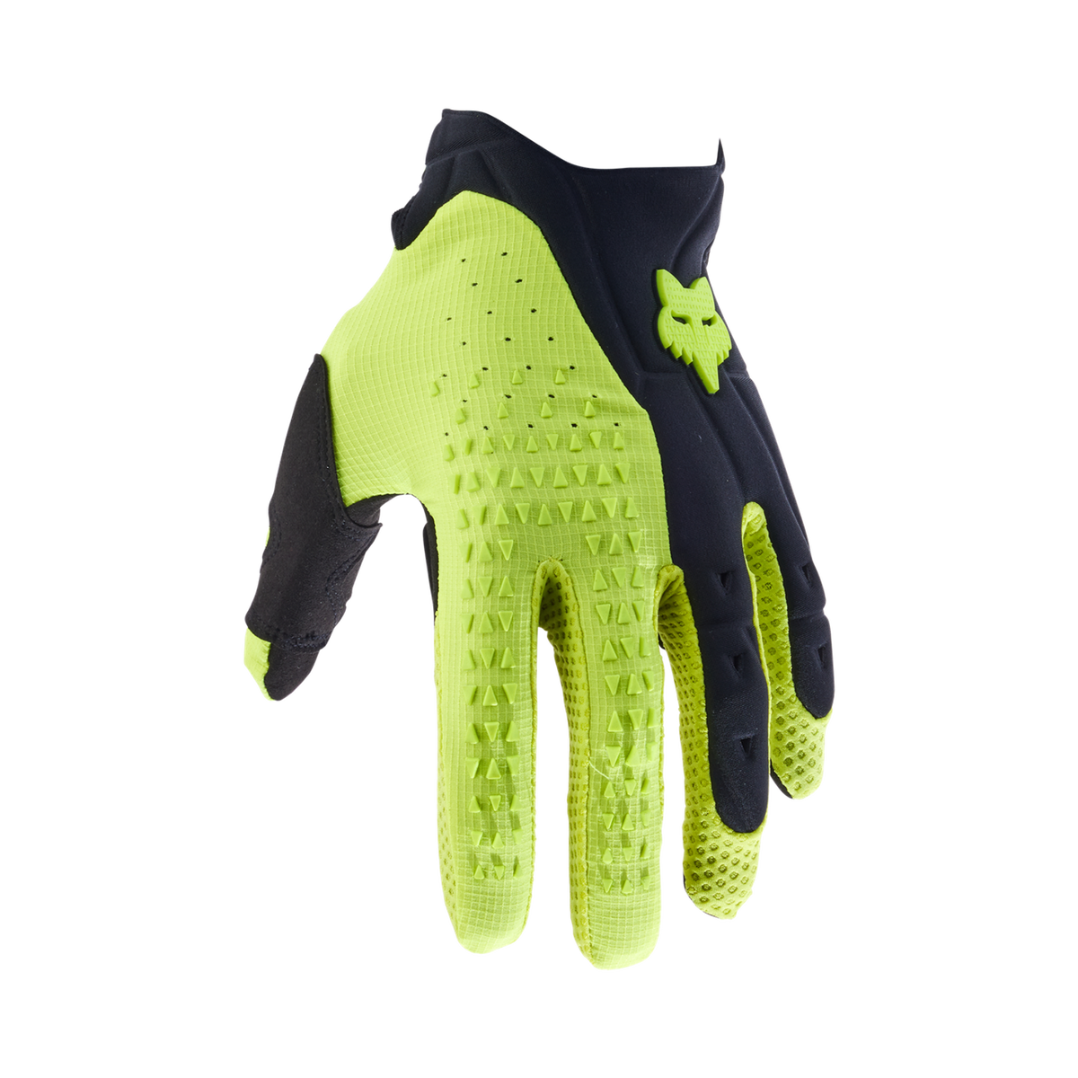 Handschuhe Pawtector