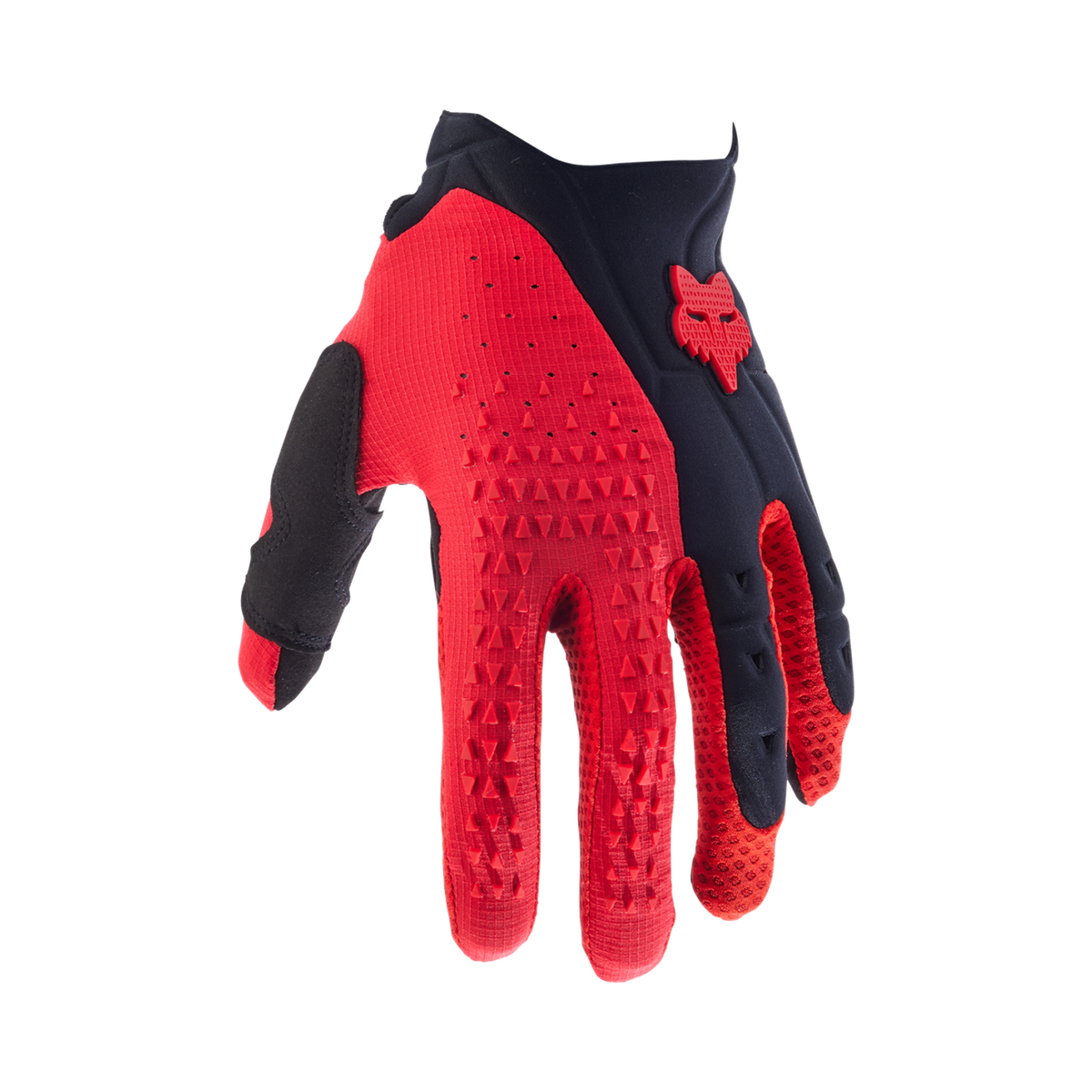 Handschuhe Pawtector