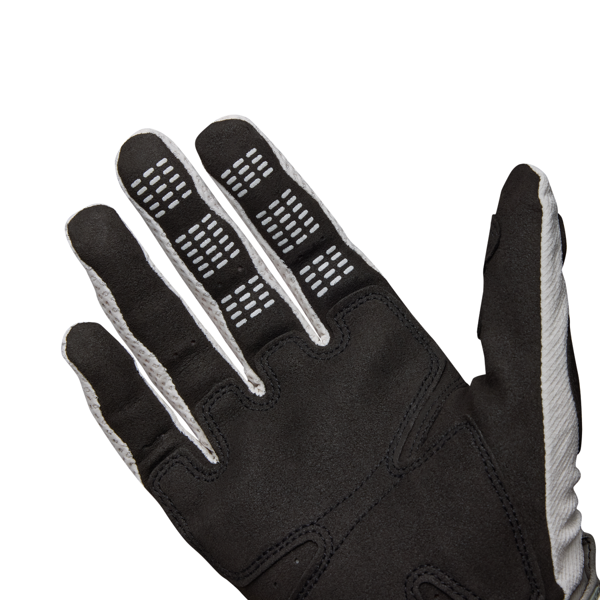 Handschuhe Pawtector
