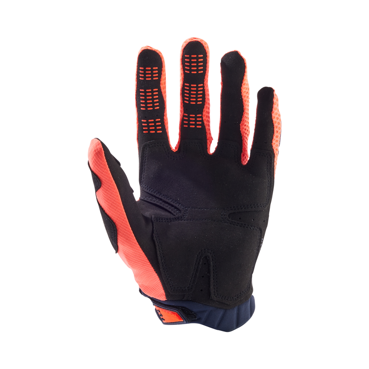 Handschuhe Pawtector