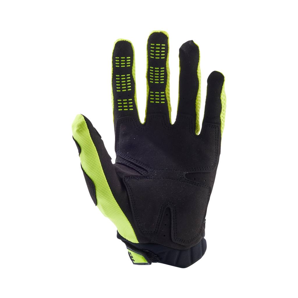 Handschuhe Pawtector