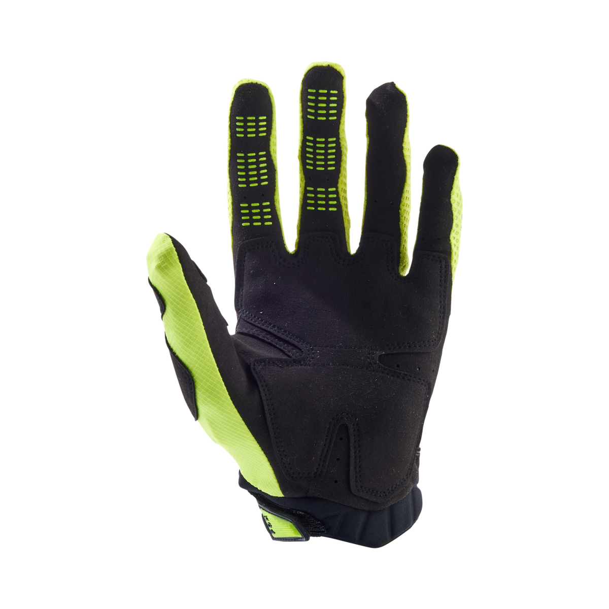 Handschuhe Pawtector