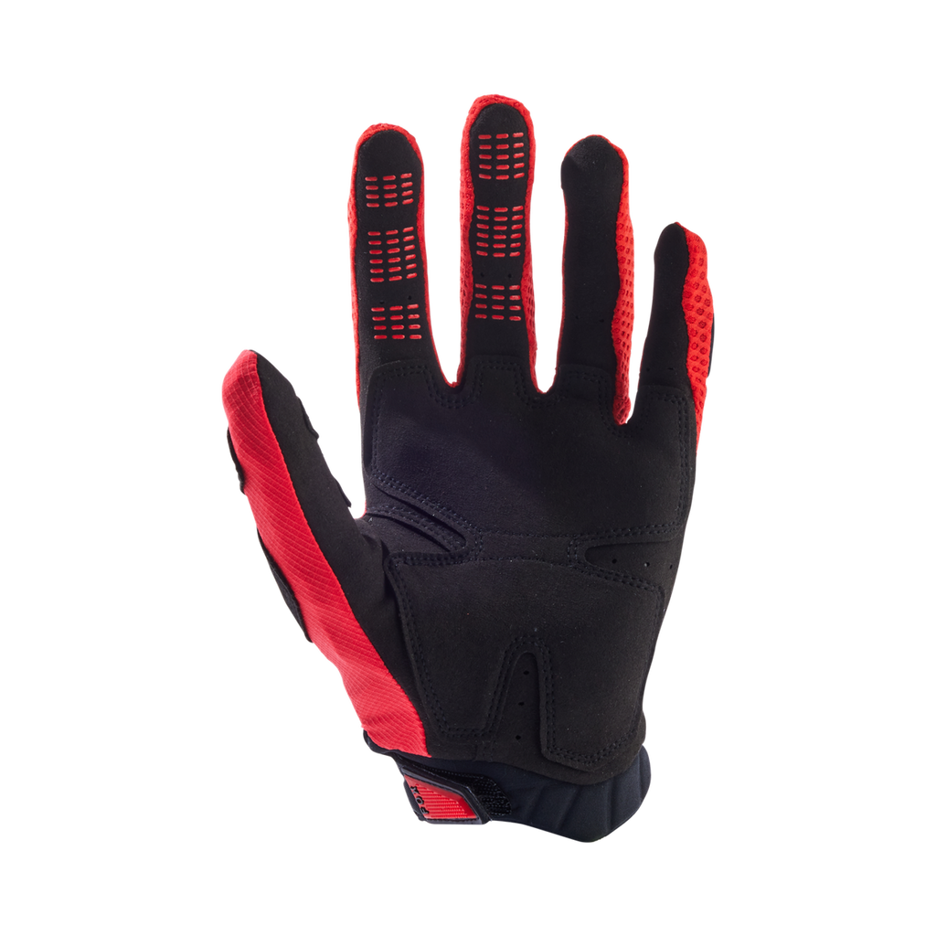 Handschuhe Pawtector