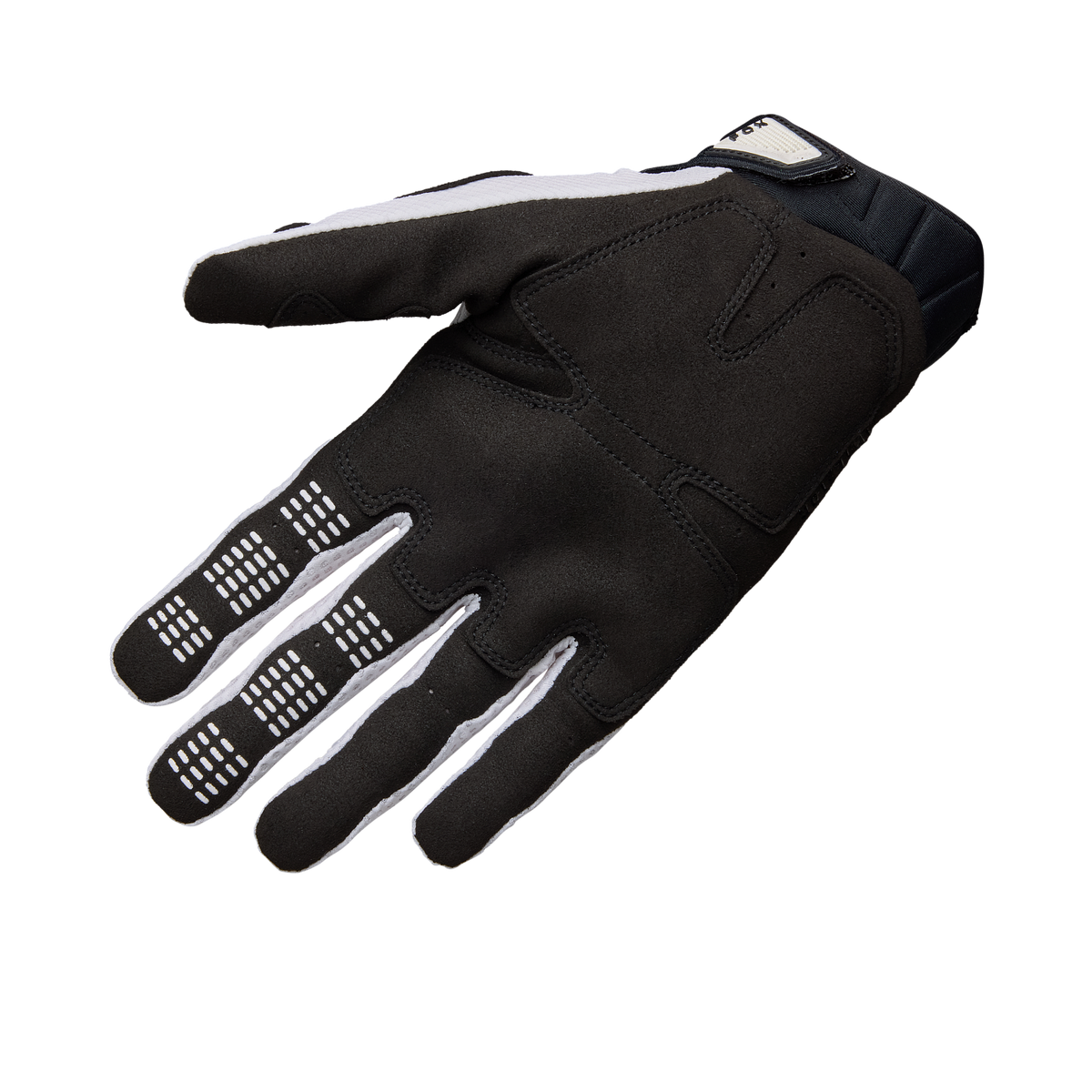 Handschuhe Pawtector