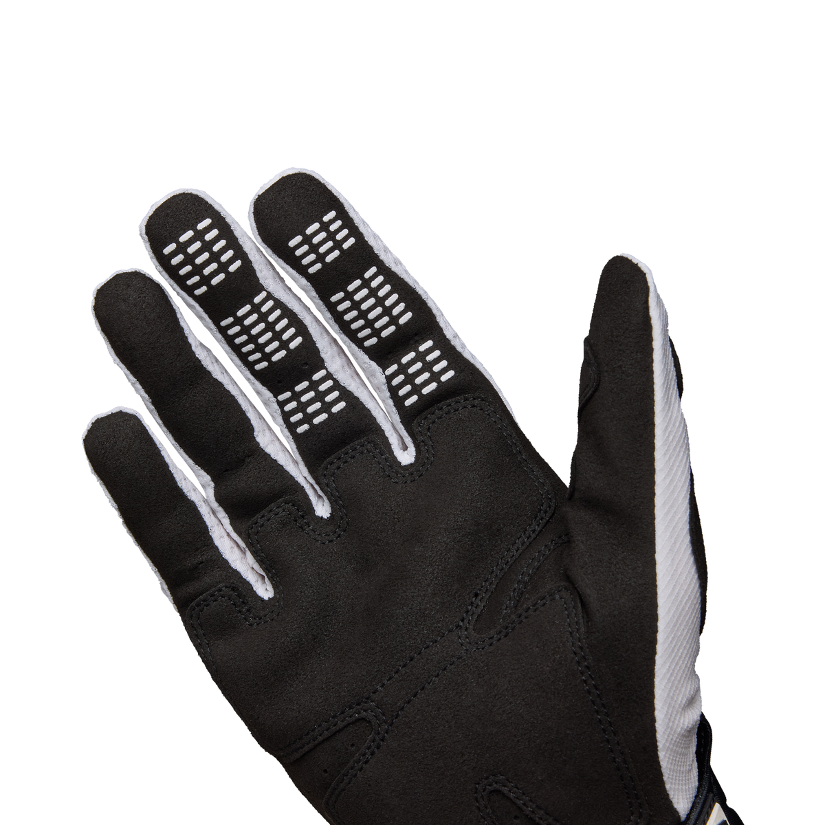 Handschuhe Pawtector