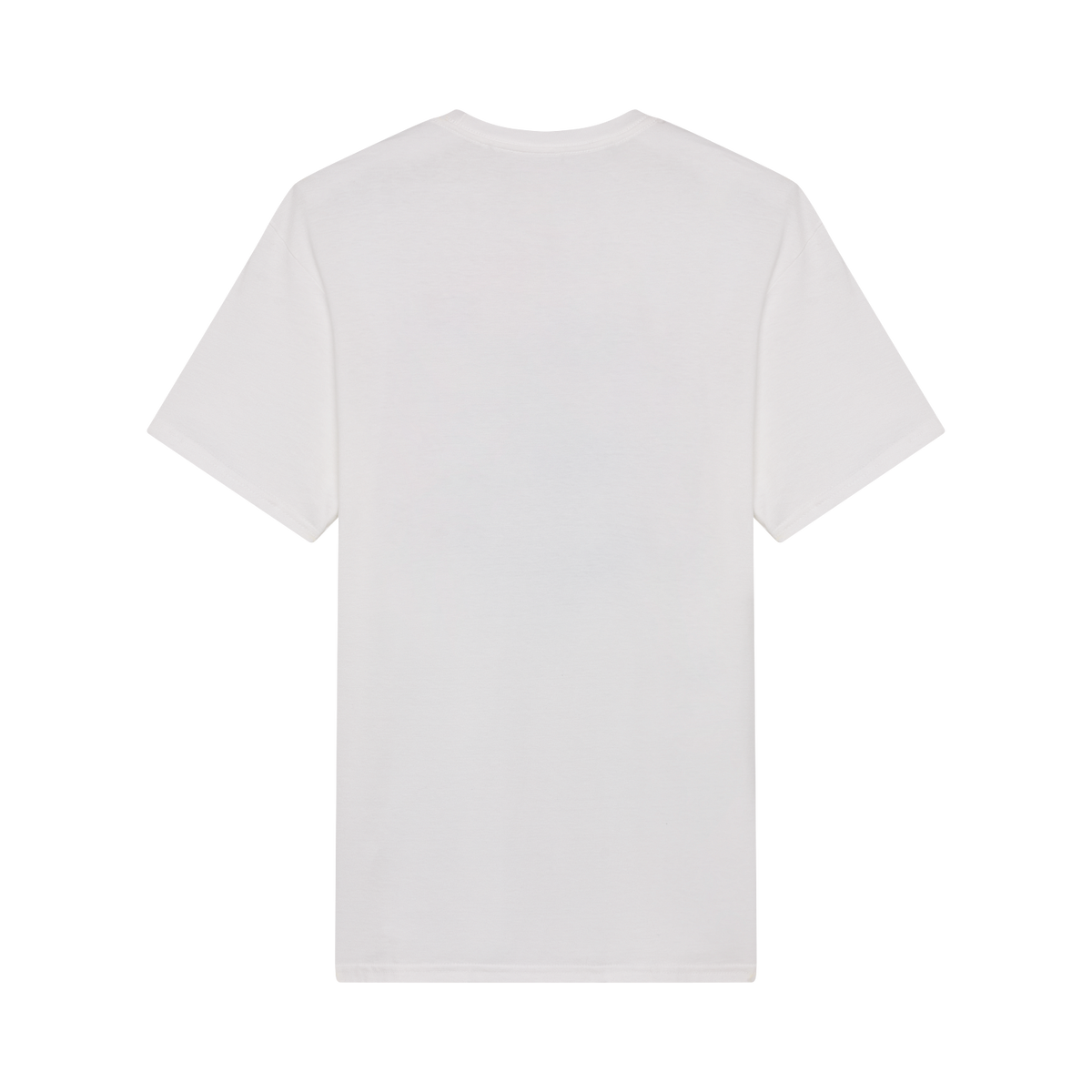 Kawasaki Tee