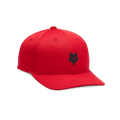 Snapback-Kappe Lithotype 110 Jugend